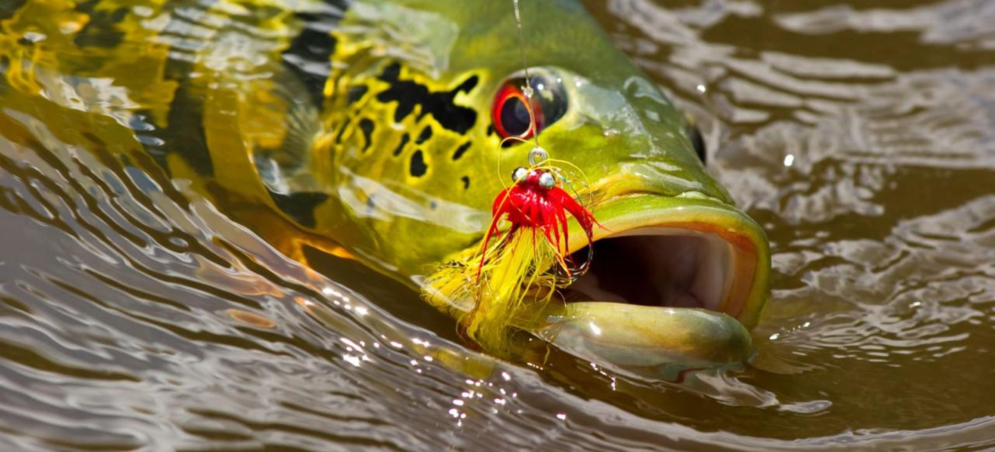 Agua Boa Amazon Lodge