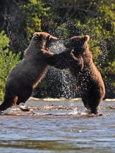 Copper River Lodge image 3